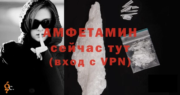 прущий лед Бородино