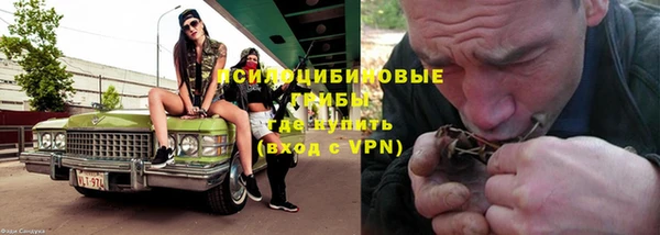 прущий лед Бородино
